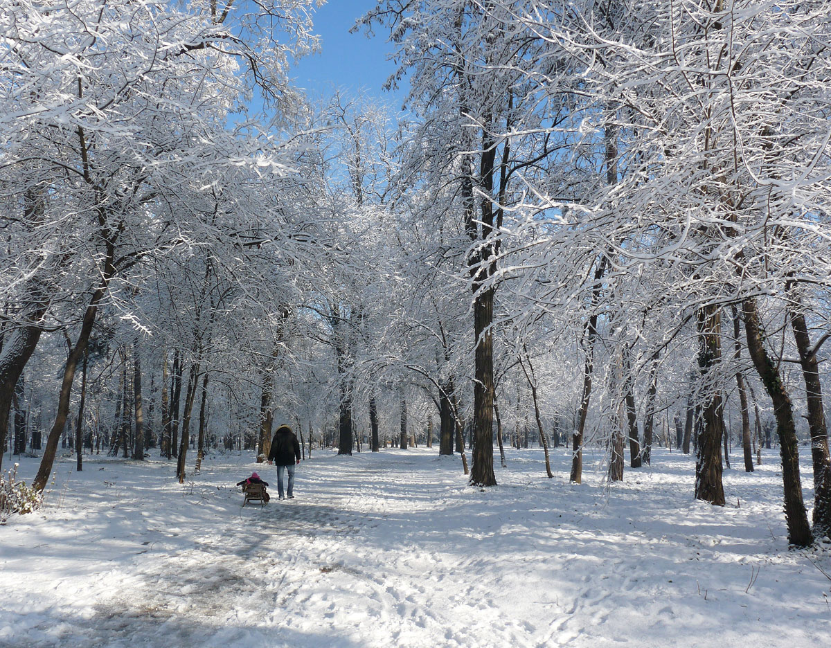 photo "***" tags: city, winter