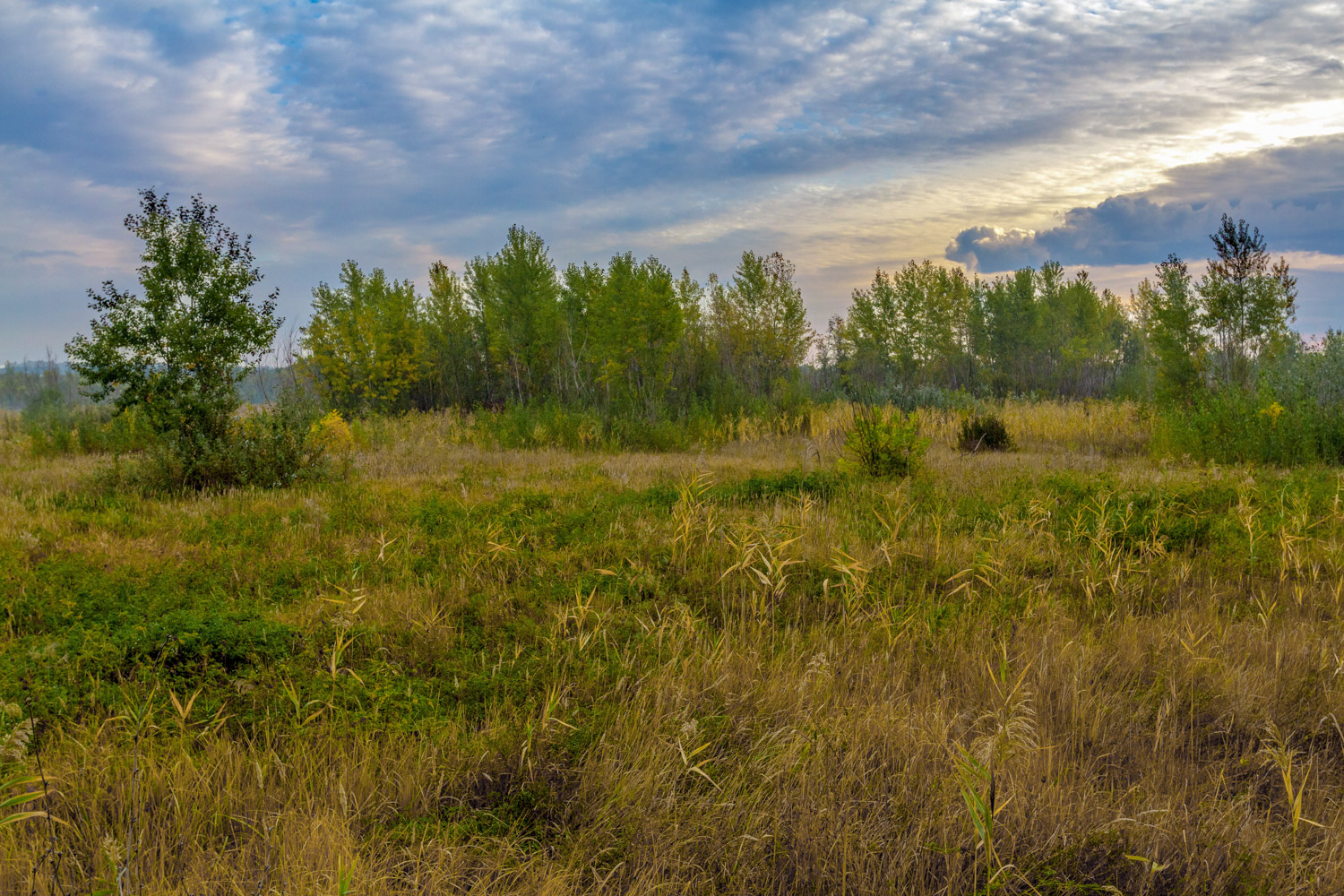 photo "***" tags: landscape, nature, travel, 