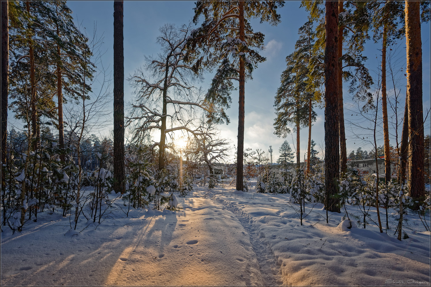 photo "***" tags: landscape, forest, winter, Восход