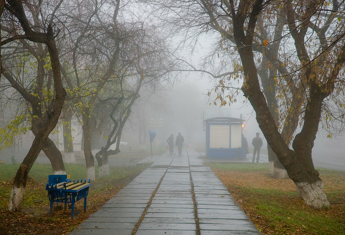 photo "***" tags: street, autumn