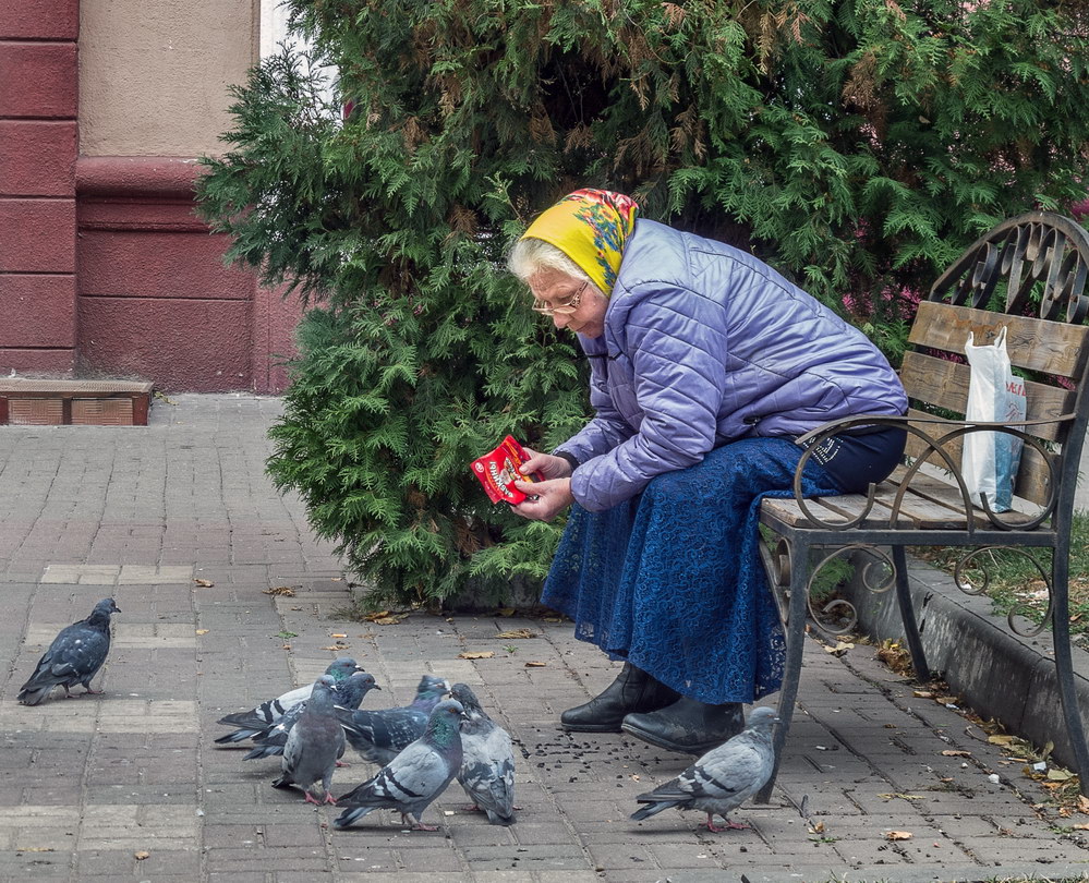 фото "Бабкины семечки" метки: жанр, 