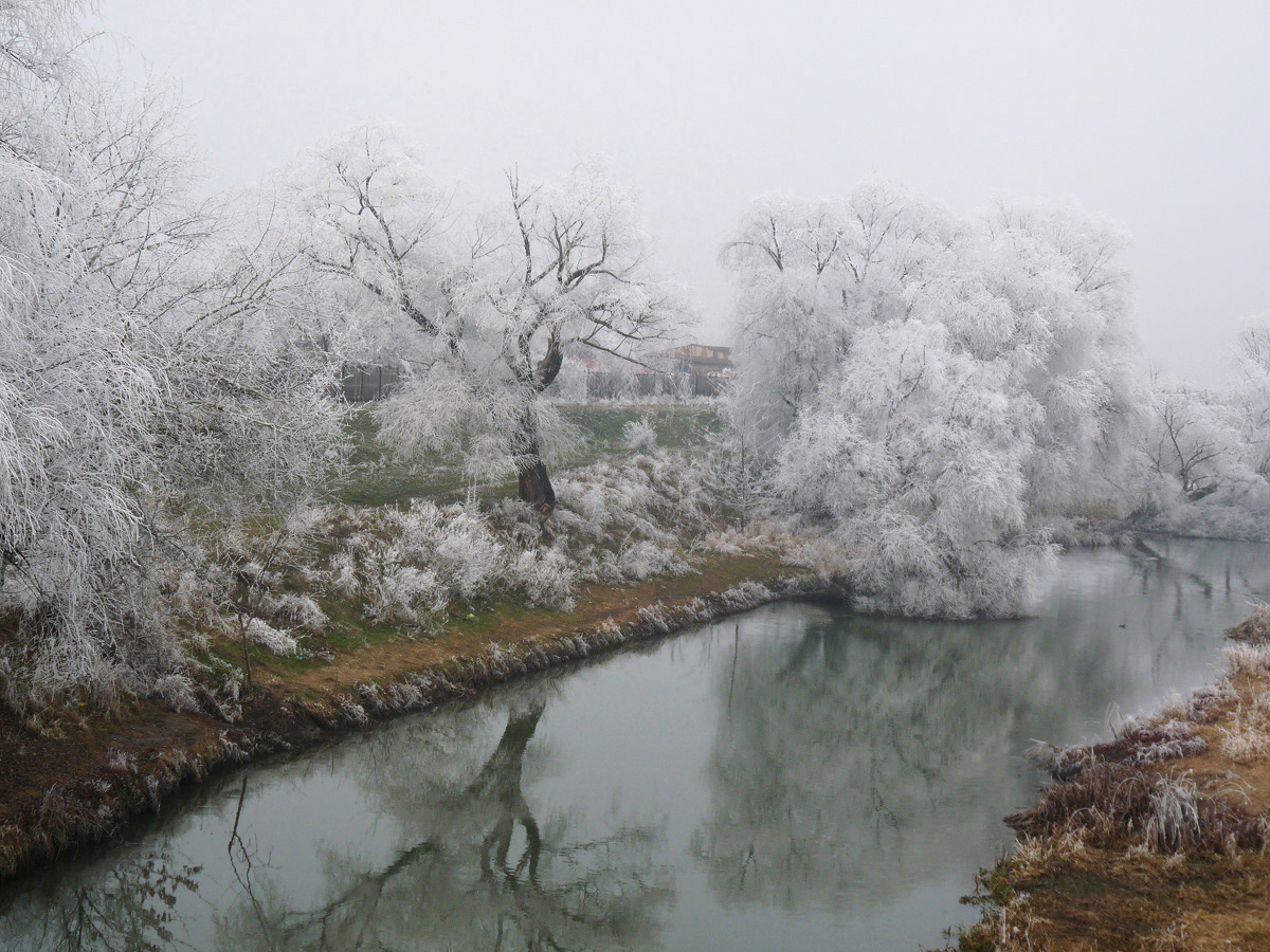 photo "***" tags: nature, winter