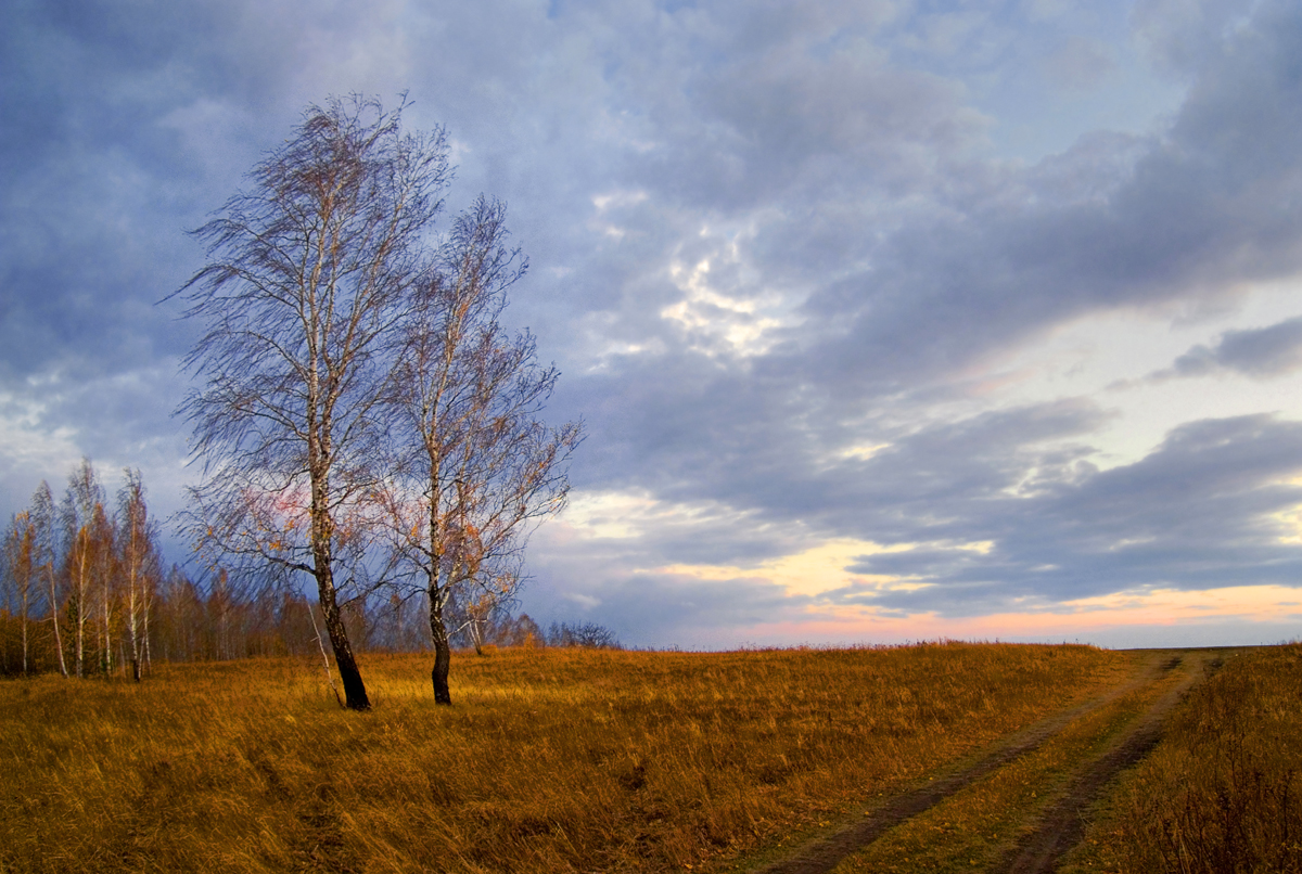 фото "Последний луч" метки: пейзаж, осень