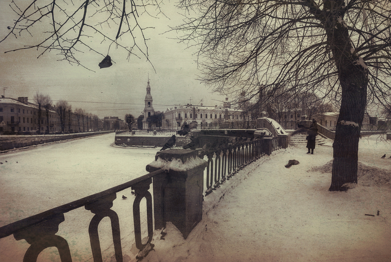 photo "***" tags: landscape, city, winter, Петербург, птицы