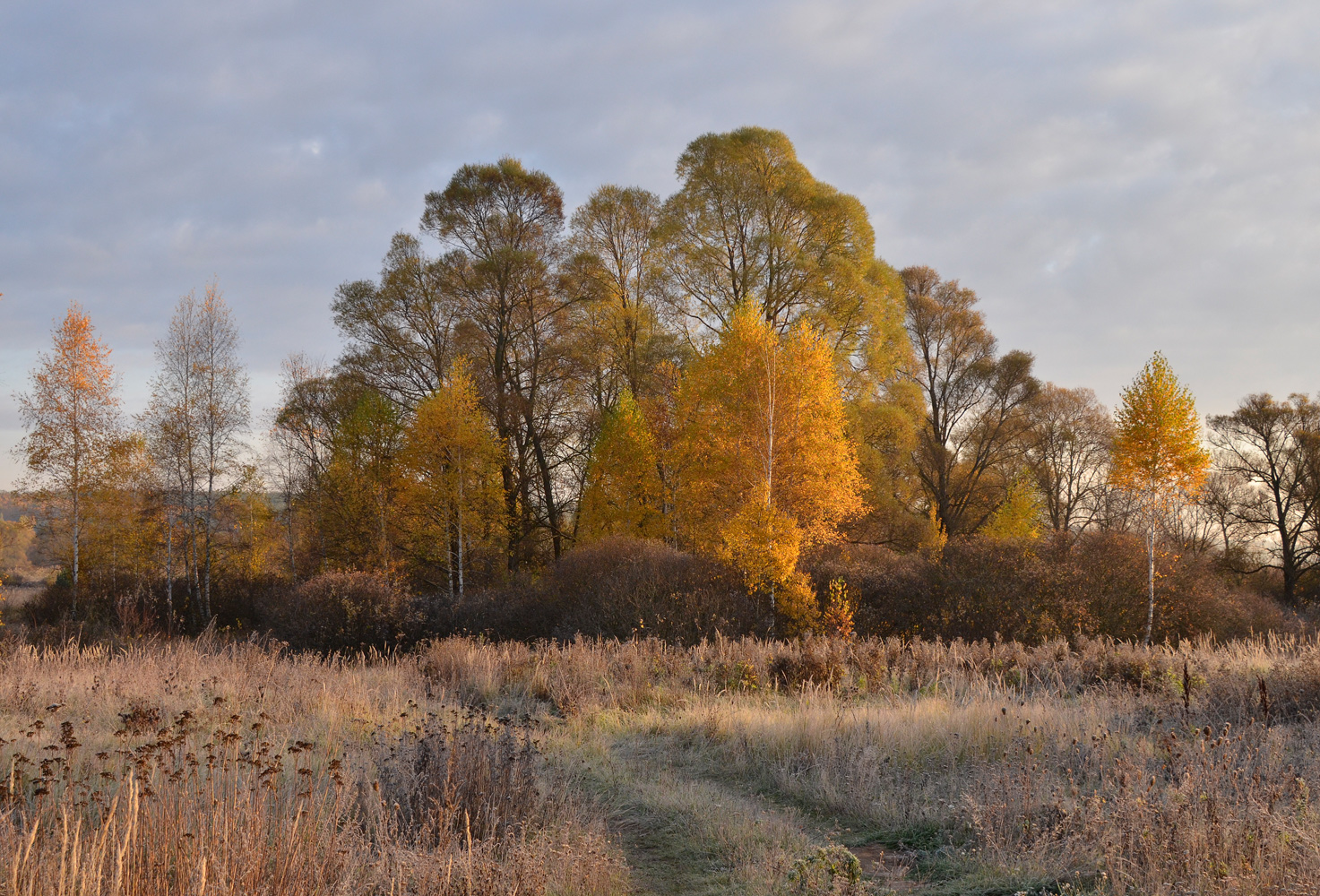 photo "***" tags: landscape, autumn, morning, изморозь, перелески