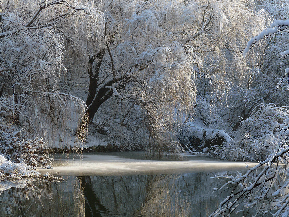 photo "***" tags: landscape, winter