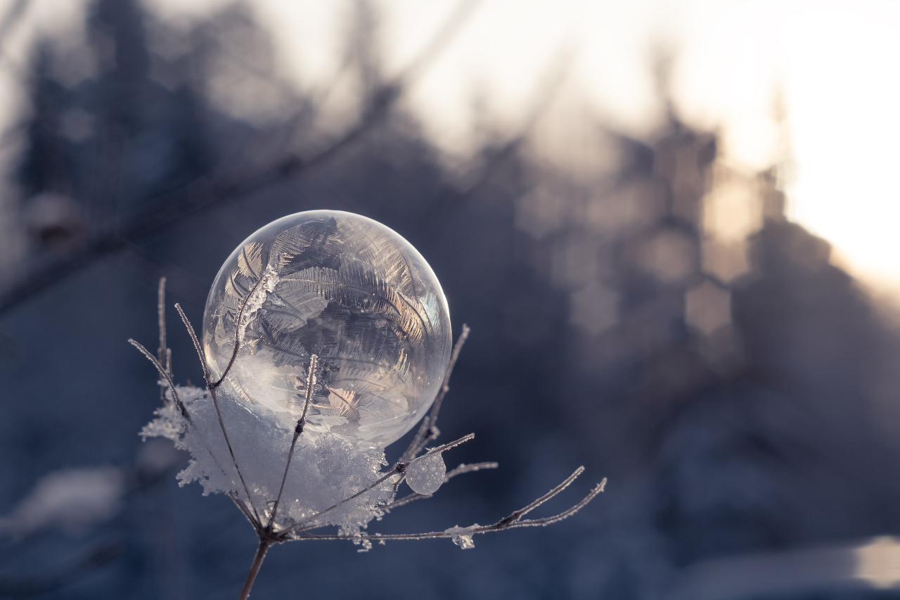 photo "***" tags: nature, macro and close-up, winter, Индустар, мороз, мыльный пузырь