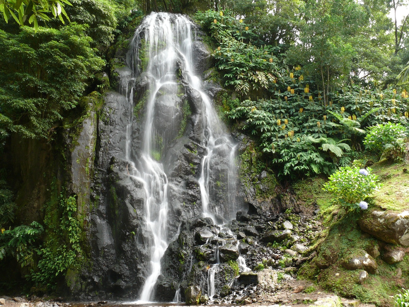 photo "Waterfall in São Miguel island." tags: nature, Atlantic Ocean, Açores, water