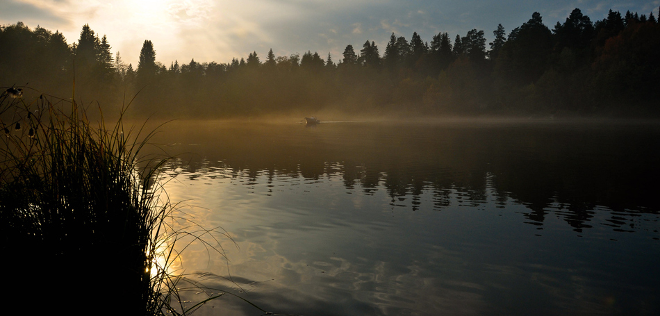 photo "***" tags: landscape, nature, 