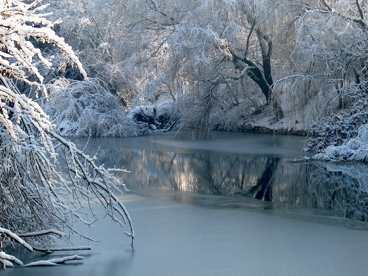 photo "***" tags: landscape, winter