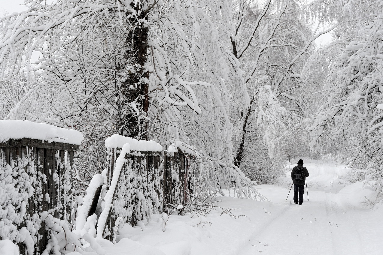 photo "***" tags: landscape, nature, genre, man, road, snow, winter, Тропинка, ветви, деревья, забор, холод