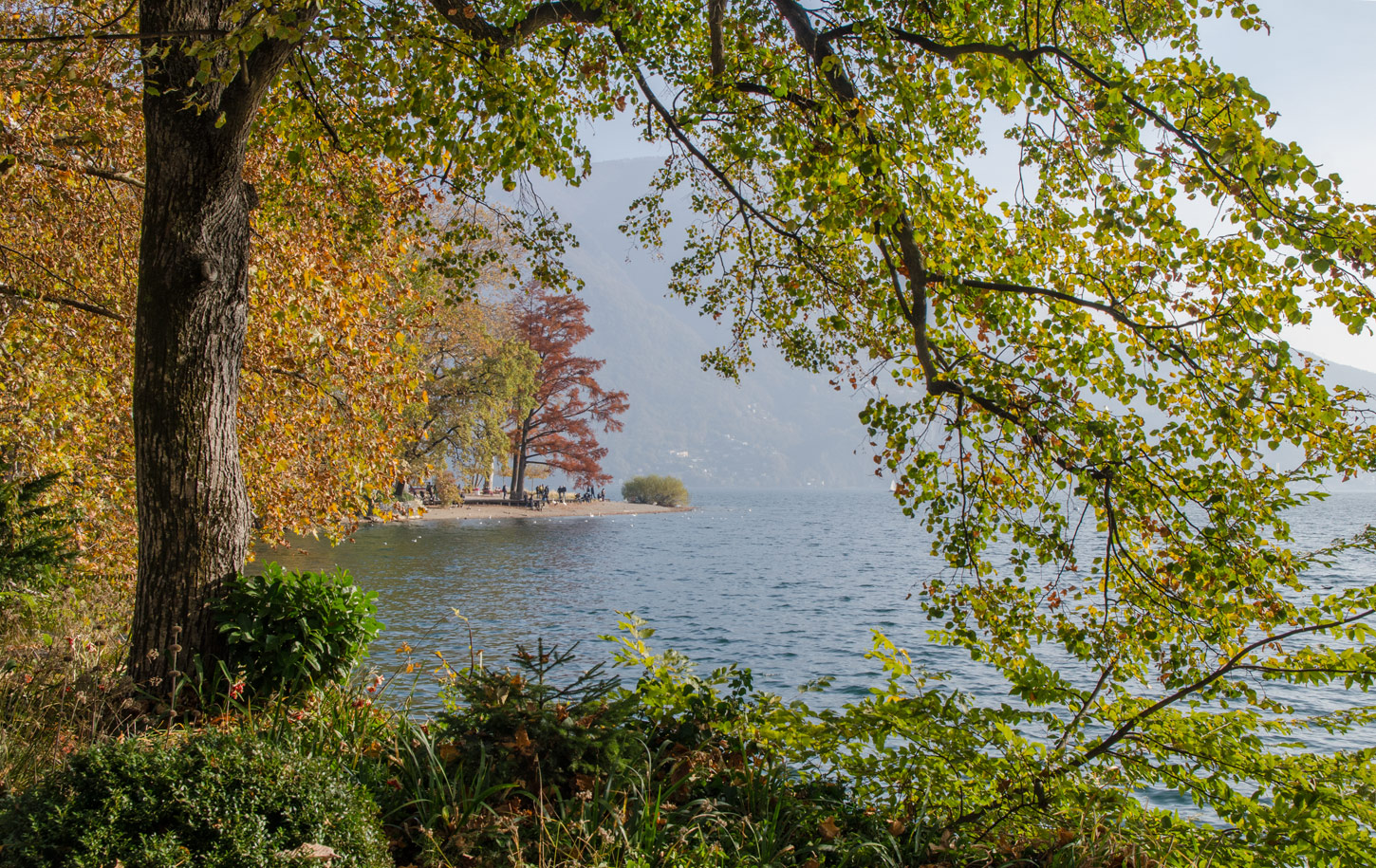 photo "***" tags: landscape, lake, Лугано, осень.