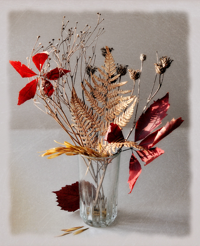 photo "***" tags: still life, macro and close-up, nature, 