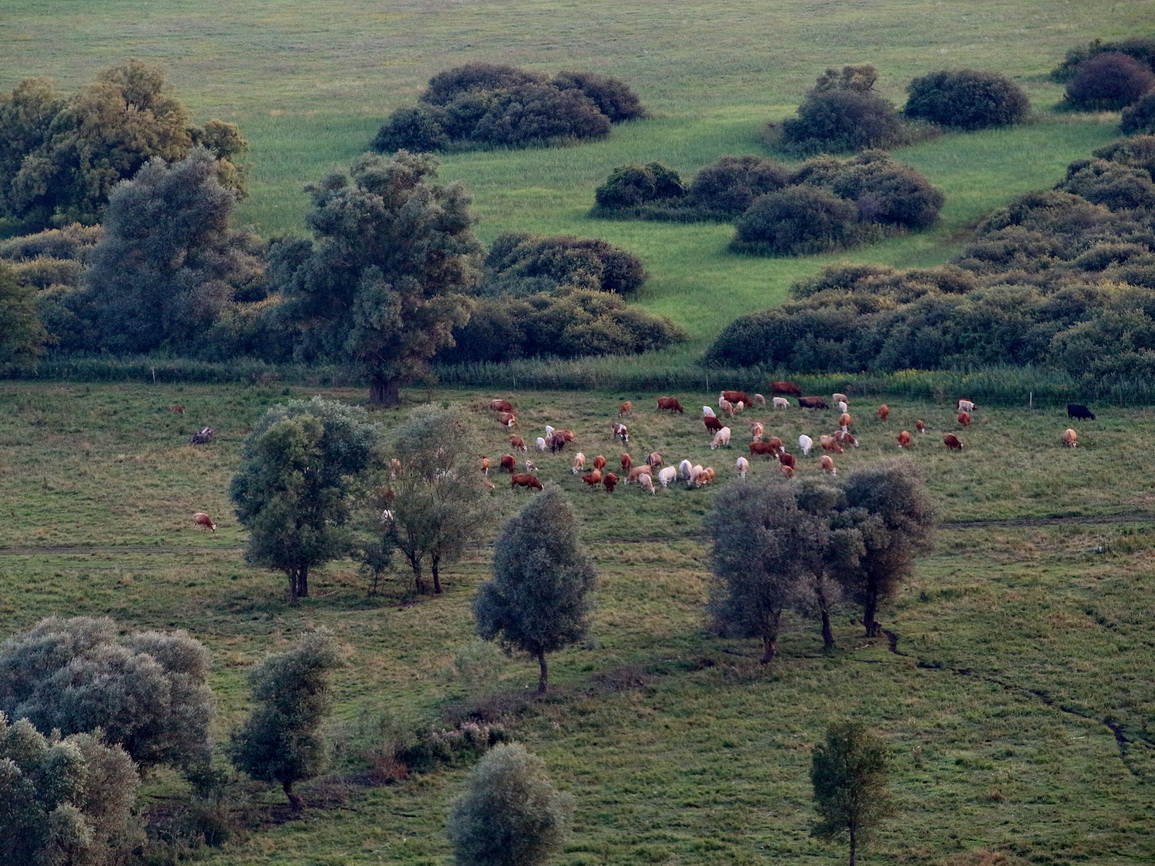 photo "***" tags: landscape, travel, nature, Венгрия