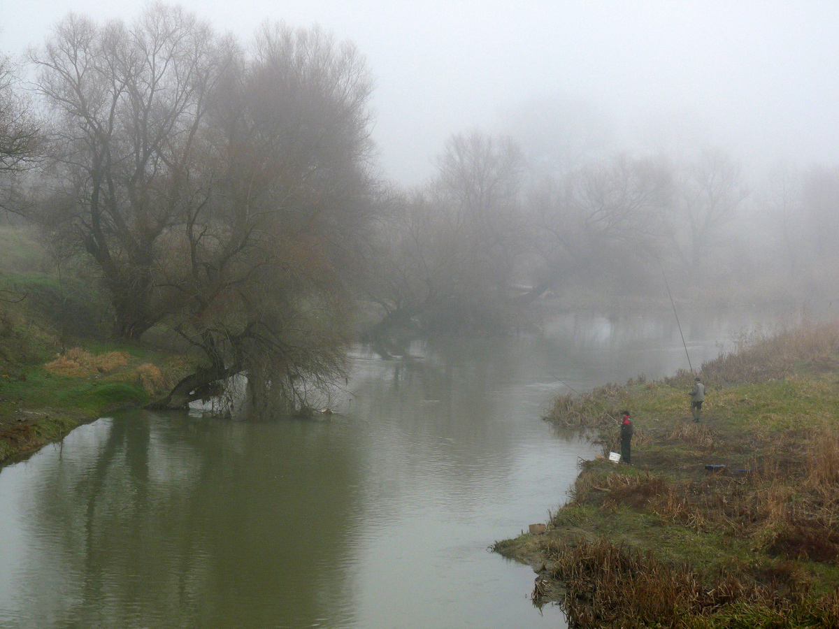 photo "***" tags: nature, fog