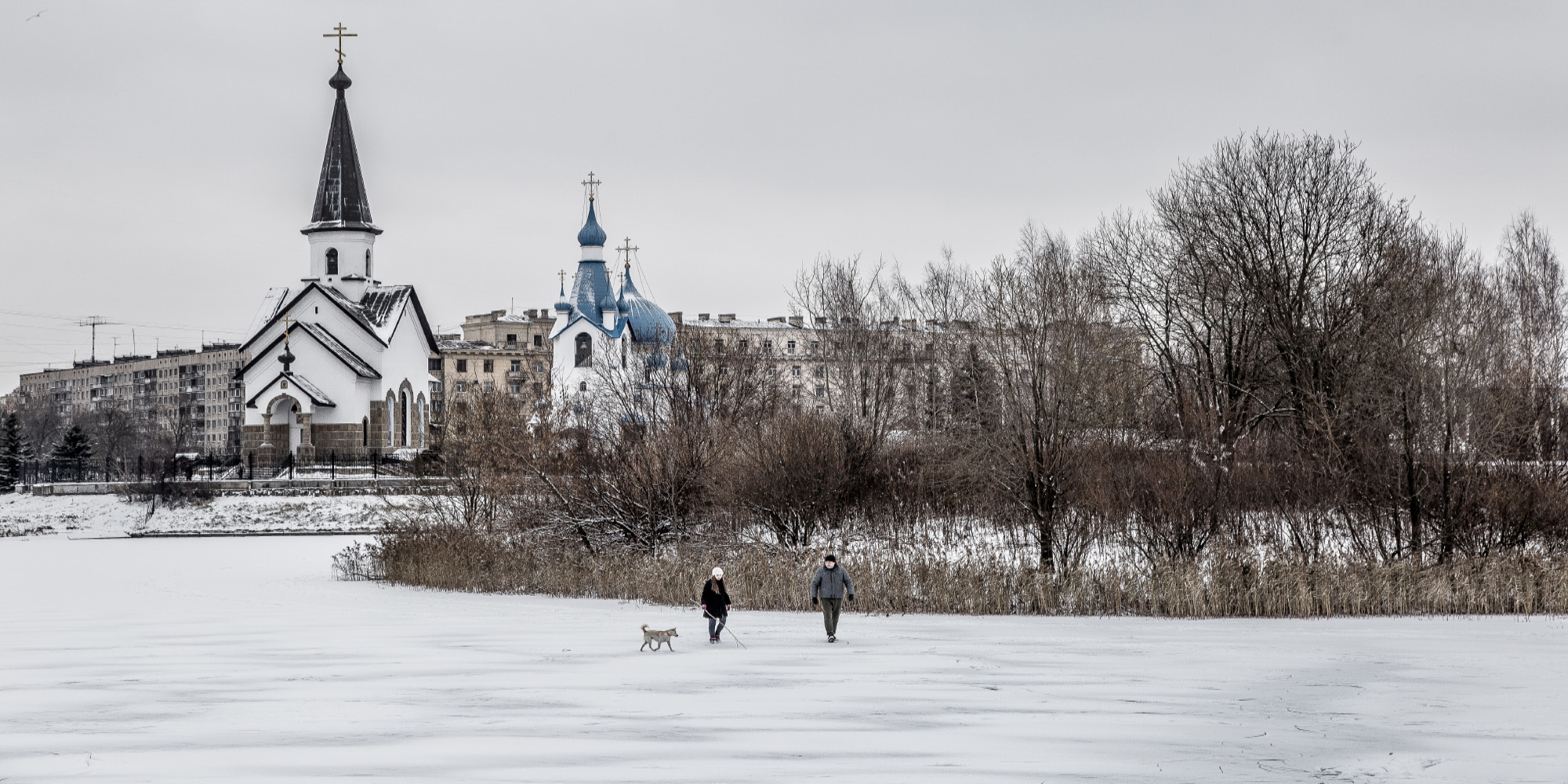 фото "Прогулка" метки: жанр, 