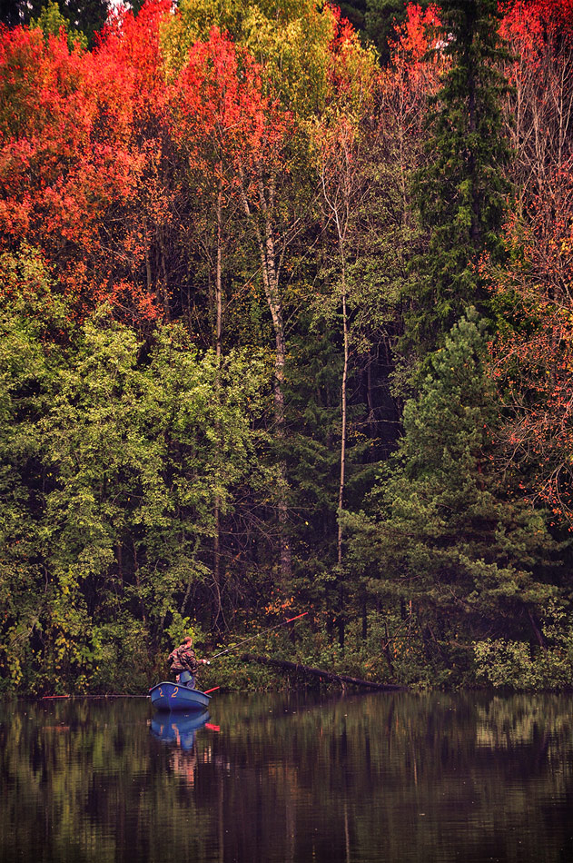 photo "***" tags: , 