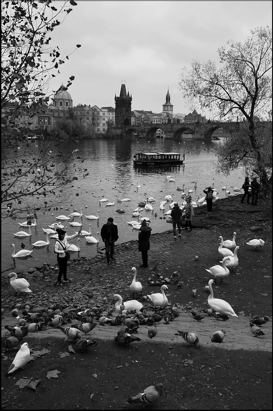 photo "На берегу" tags: black&white, Prag, Prague, Praha