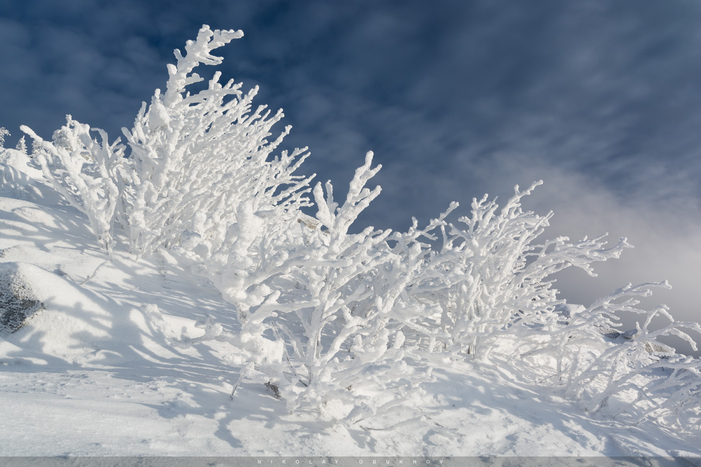 photo "Snow Corals / 0235_0144" tags: landscape, 