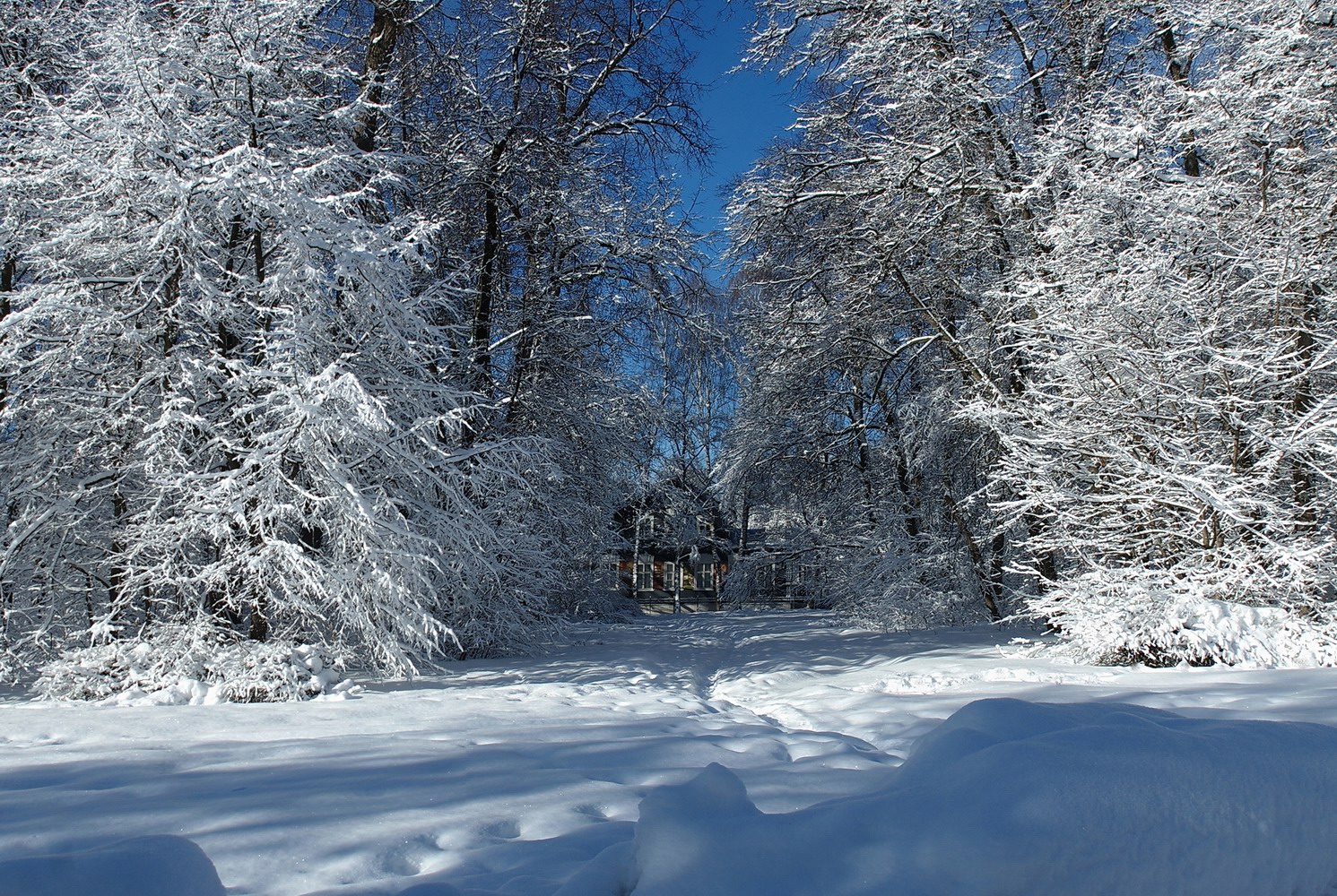 фото "" Зима в Простоквашино..." :)" метки: пейзаж, природа, 