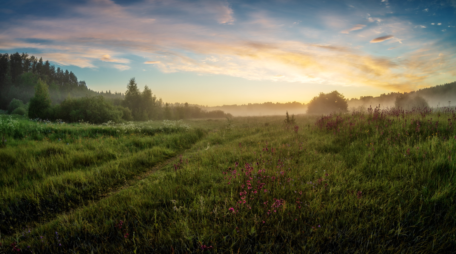 photo "***" tags: nature, landscape, 