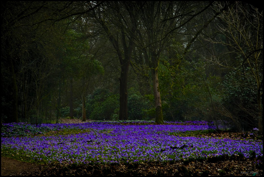photo "***" tags: landscape, nature, 