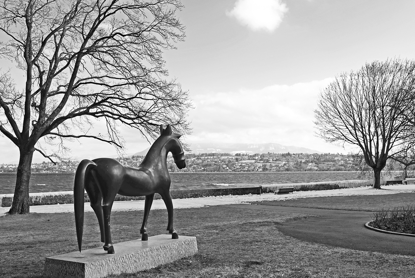 photo "***" tags: landscape, black&white, 