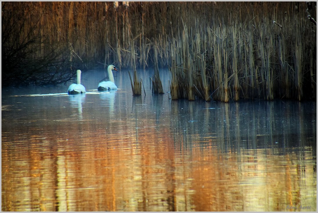 photo "***" tags: landscape, nature, 