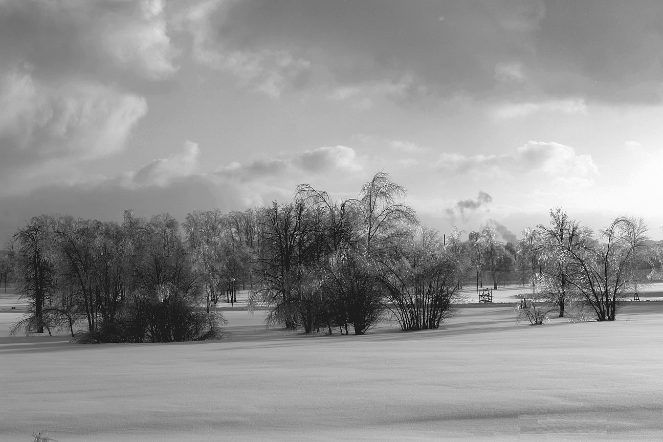 photo "***" tags: nature, landscape, Moscow, winter