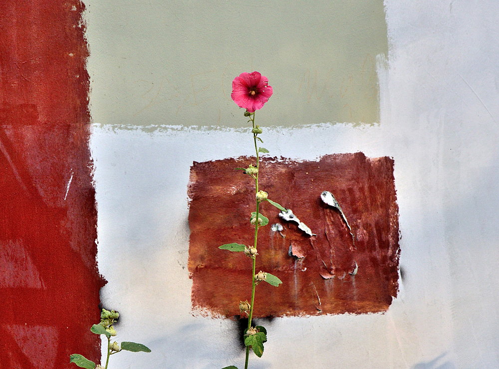 photo "***" tags: misc., 