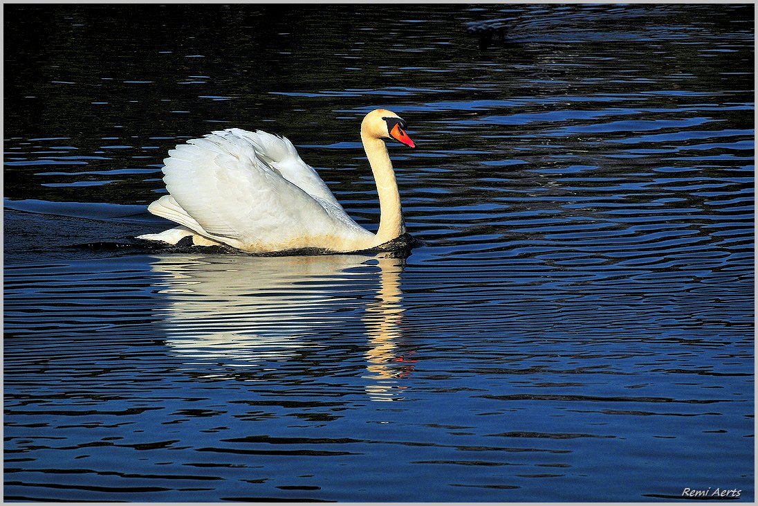 фото "***" метки: природа, разное, 
