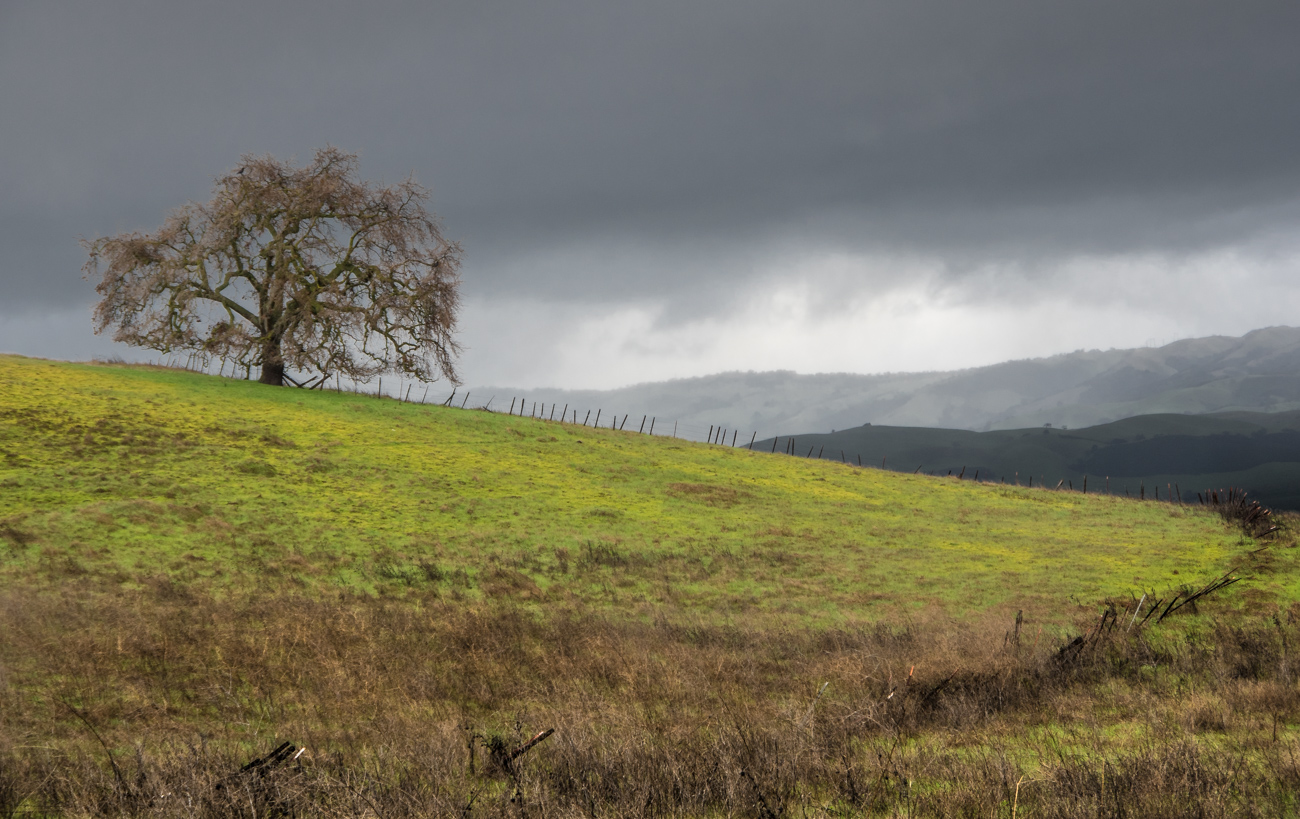 photo "Раняя Весна" tags: landscape, 2019, spring