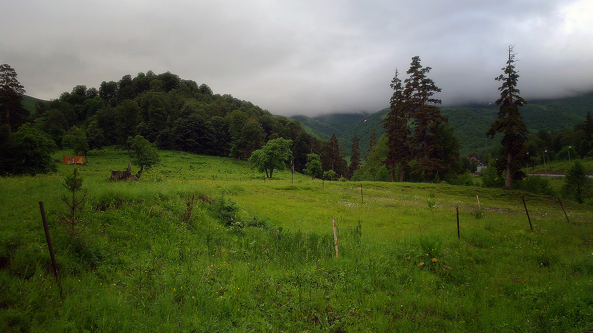 photo "Rain in Bakuriani" tags: travel, nature, Грузия