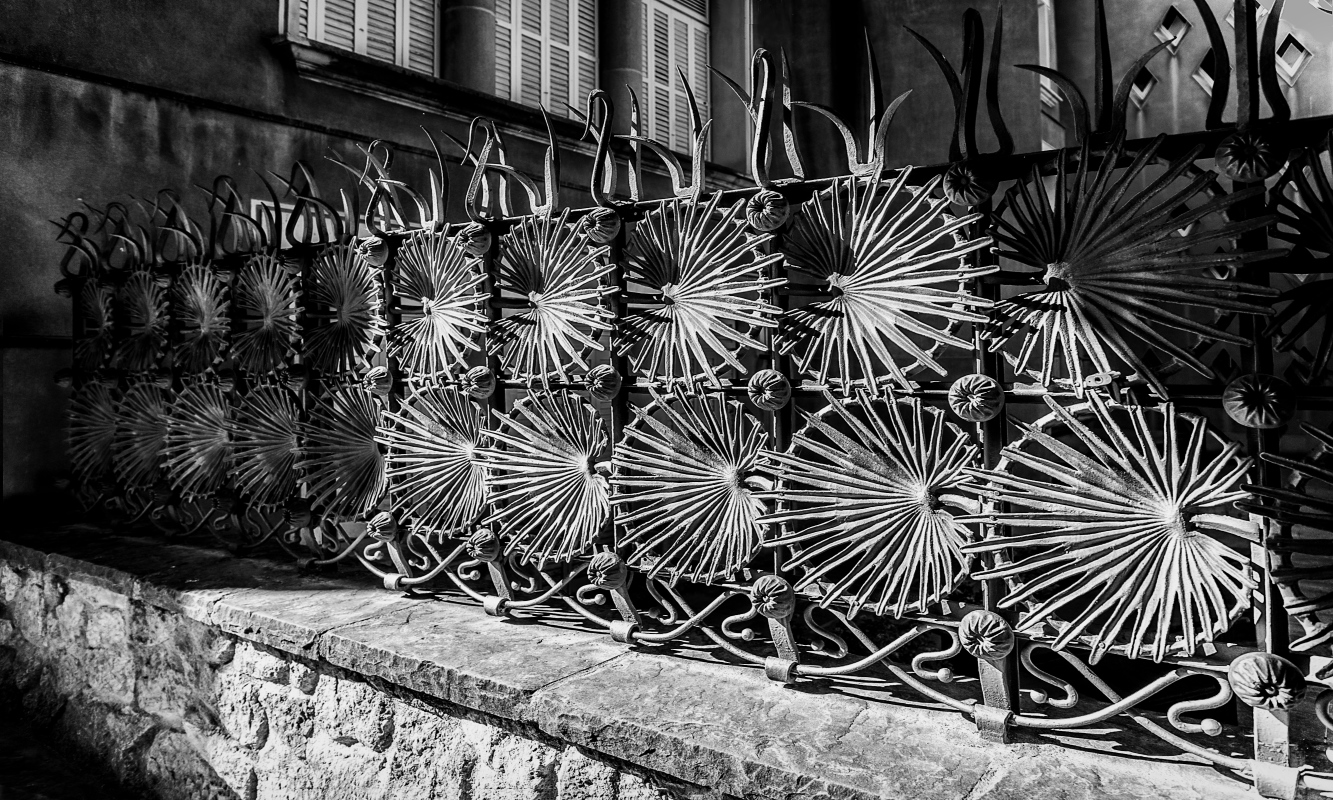 photo "Fence" tags: black&white, 