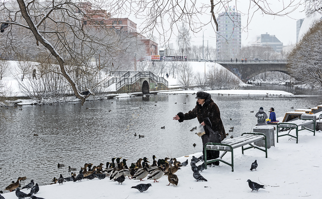 photo "***" tags: city, street, river, winter, woman, птицы