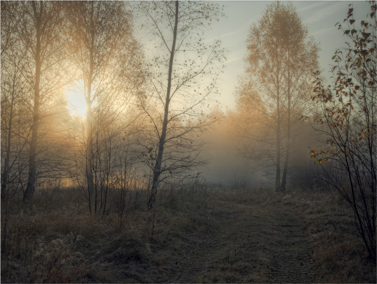 фото "Середина октября." метки: пейзаж, осень