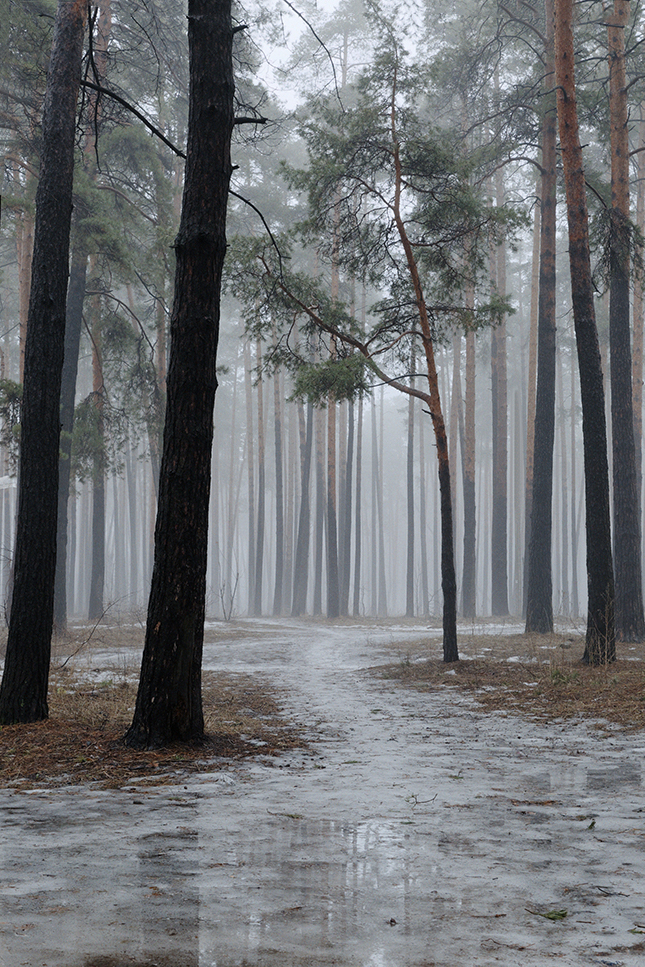 фото "Spring morning." метки: пейзаж, природа, 