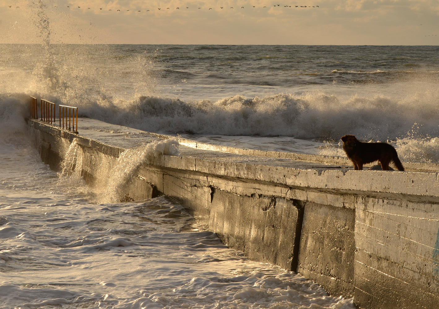 photo "***" tags: landscape, sea, Сочи, пирс, шторм