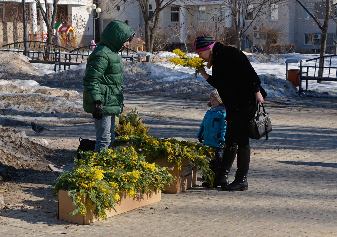 photo "***" tags: street, flowers, spring, март, мимоза, праздник