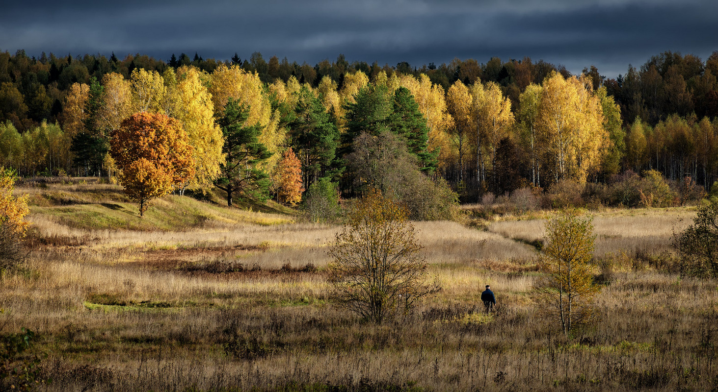 фото "осенним солнцем освещённый..." метки: пейзаж, природа, 