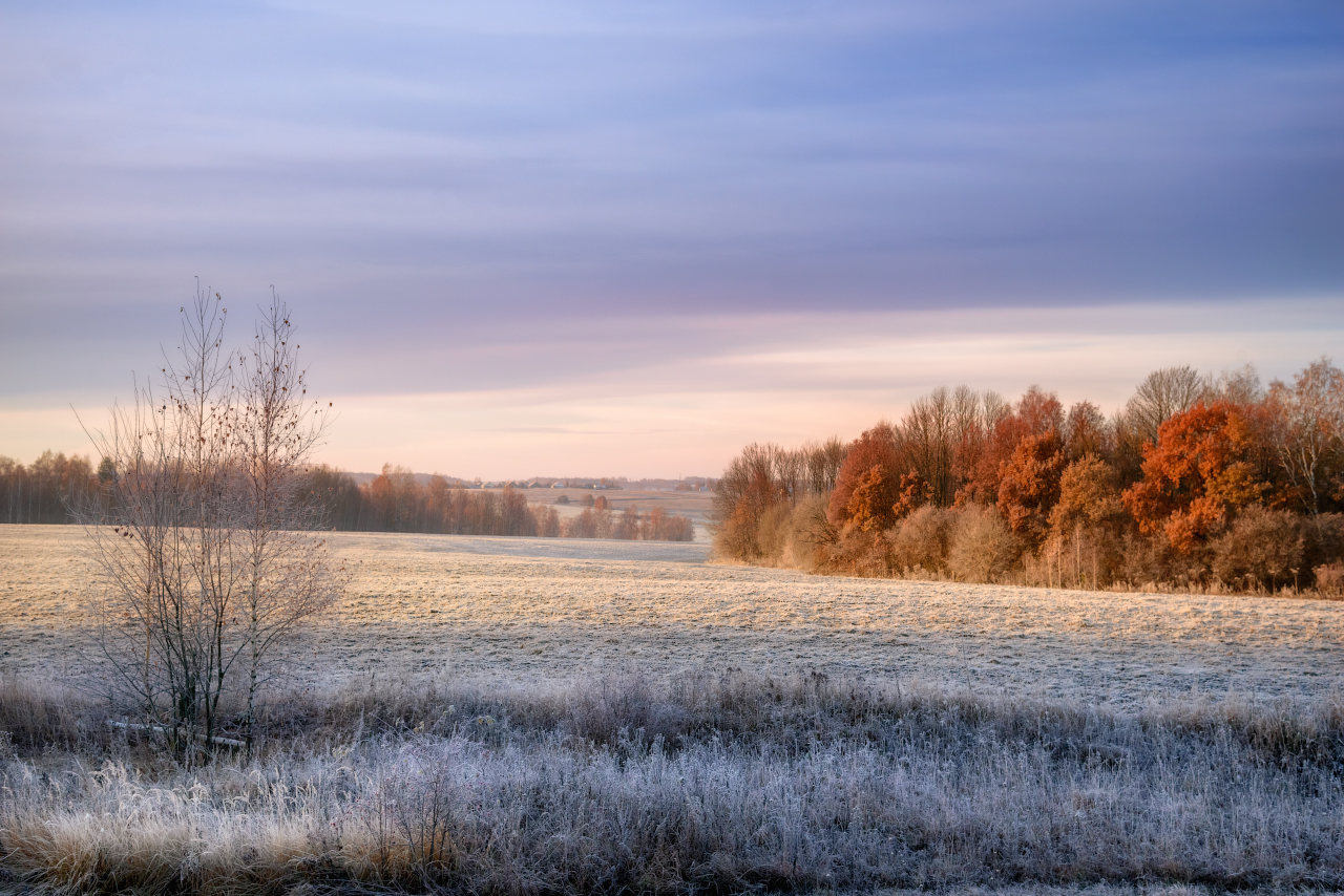 photo "***" tags: landscape, nature, travel, autumn, fog, morning, snow, tree, домик