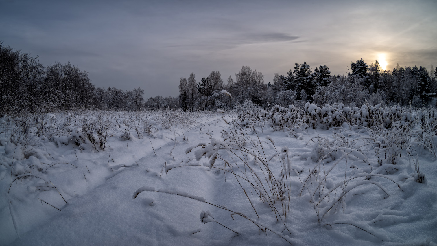 фото "на заснеженной дорожке" метки: природа, пейзаж, 