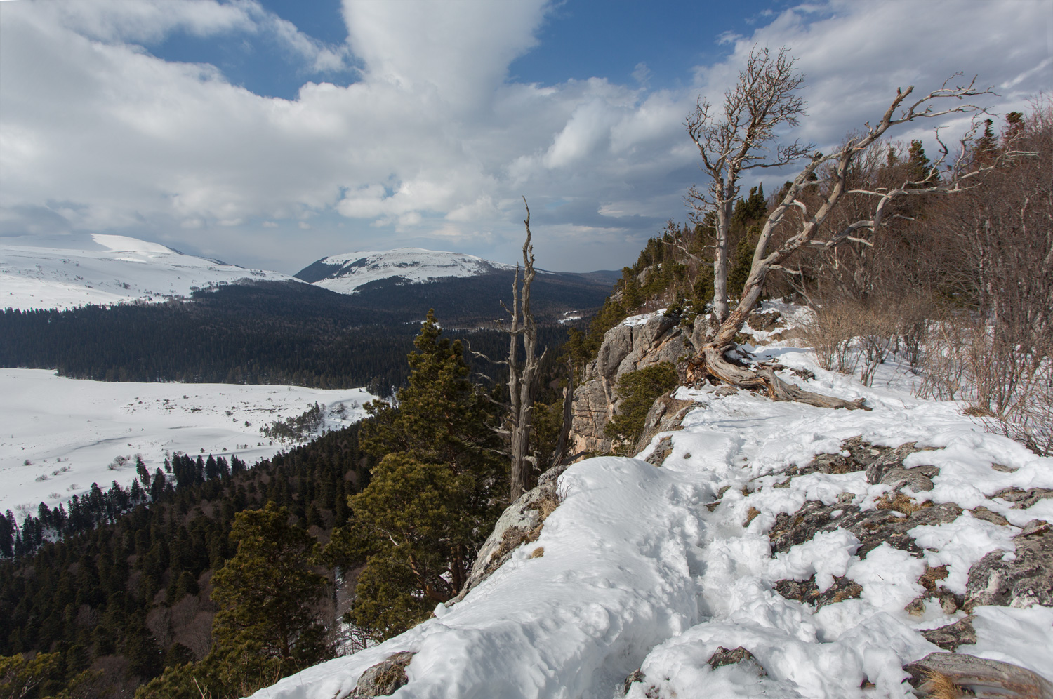 photo "***" tags: , mountains, spring, Кавказ, Лагонаки.