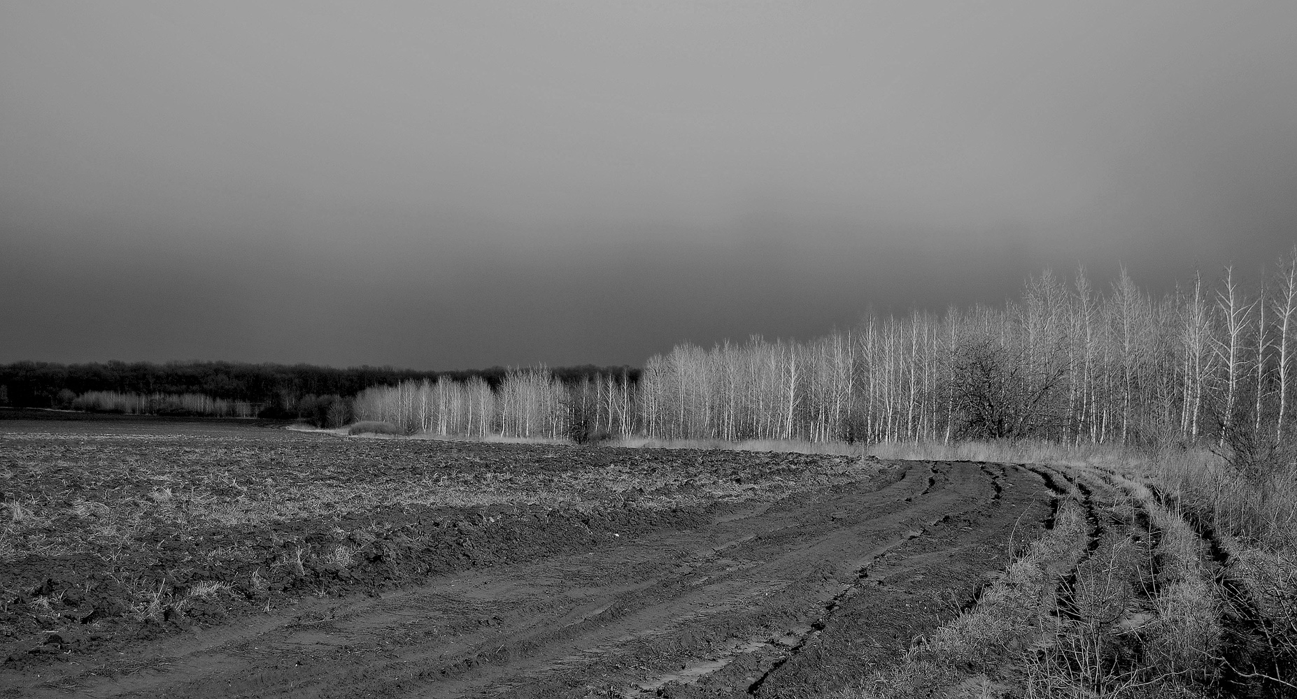 фото "Весенние пашни." метки: пейзаж, весна, земля, пашня, поле