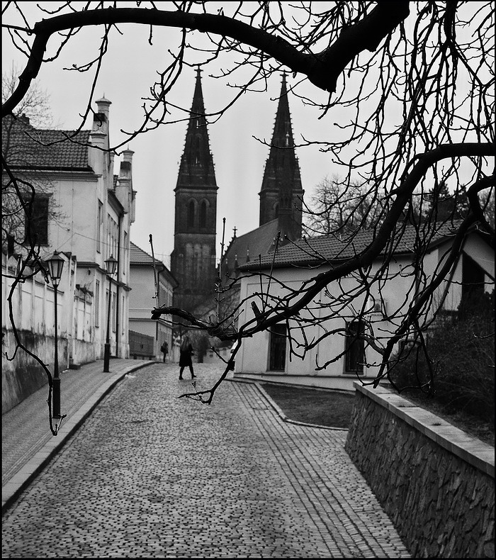 photo "Вид через ветви" tags: black&white, Prag, Prague, Praha