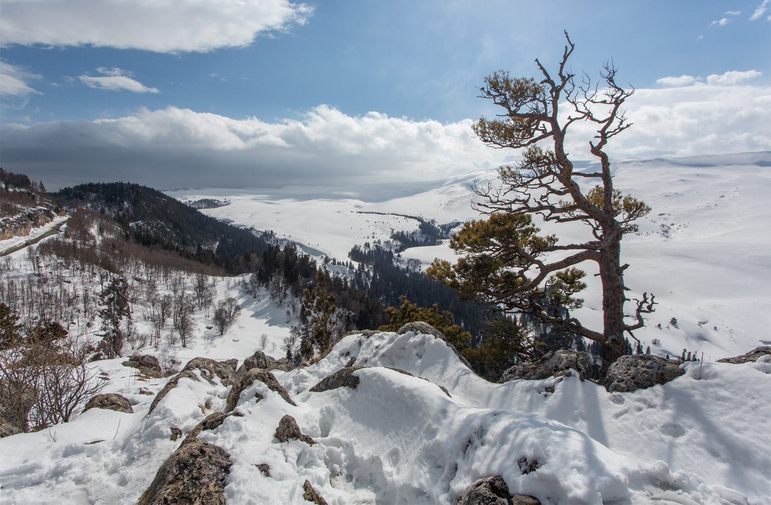 photo "***" tags: landscape, mountains, spring, Кавказ, Лагонаки., адыгея