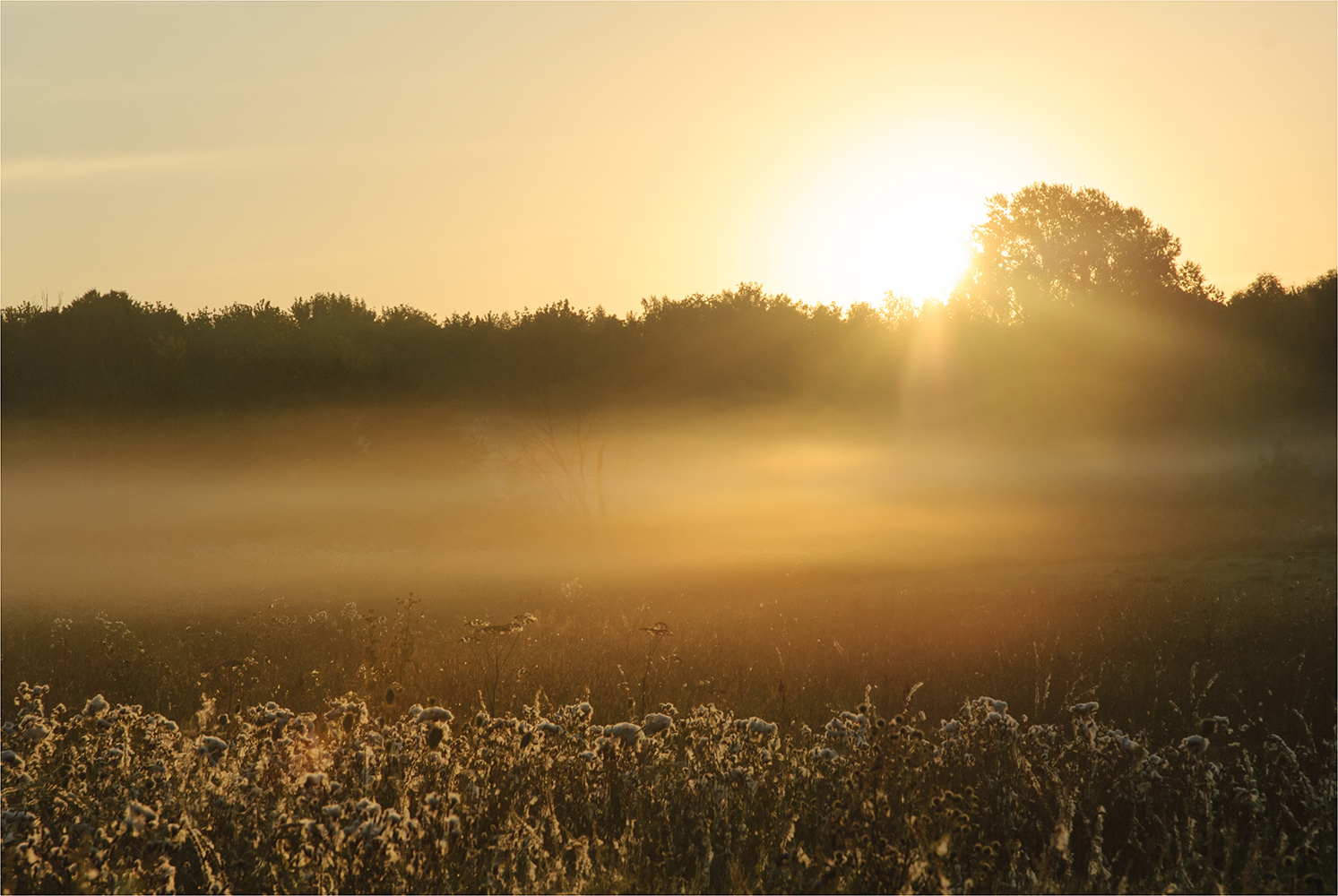 photo "***" tags: nature, landscape, 