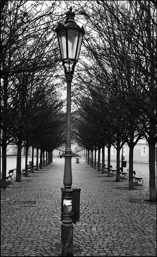 photo "Фонарь и деревья" tags: black&white, Prag, Prague, Praha