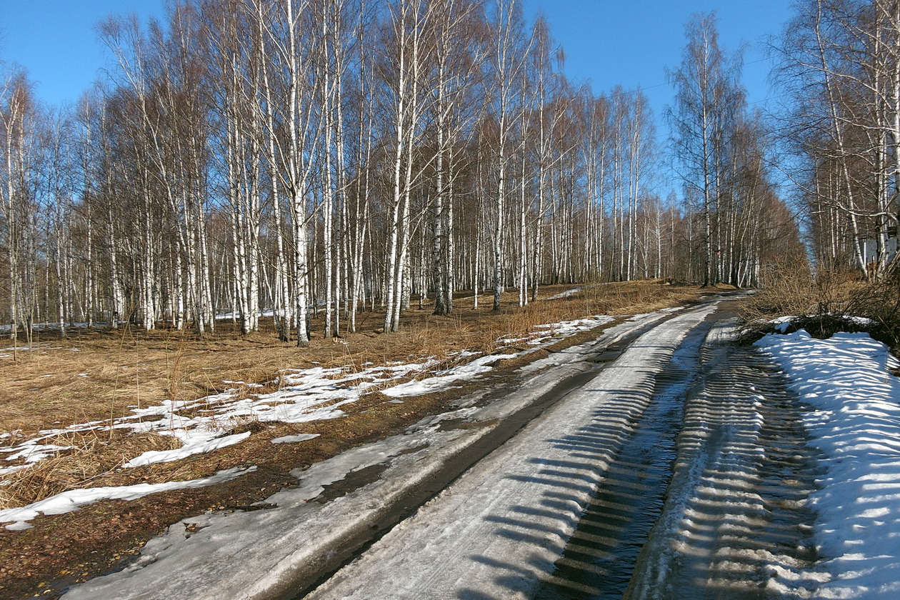 photo "***" tags: landscape, nature, clouds, forest, road, sky, snow, spring, sun, water, ветви, деревья