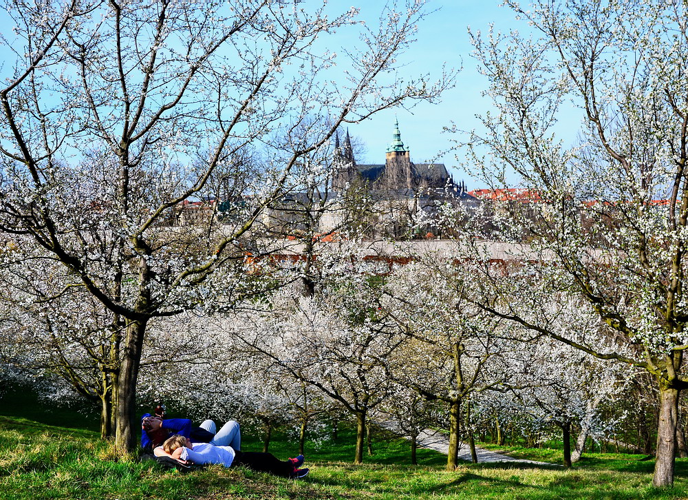 photo "Весенняя атмосфера" tags: nature, Prag, Prague, Praha